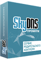 SkyDNS.Премиум 