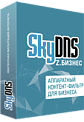 SkyDNS.Бизнес+, 